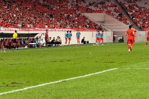 记者：西安这个草坪从美国进口的，奈何西安连日高温后又连日阴雨